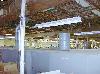  RAYPAUL Conveyor oven, gas fired,